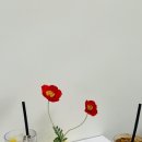 카페델리스