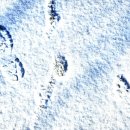 마동농장 이미지