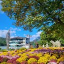 산정호수 가족글램핑 이미지