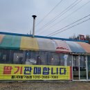홈딸기농원
