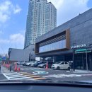 그린스팀세차
