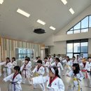 용인대박사청룡태권도 네이버블로그