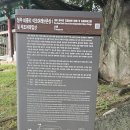 용화사 석조보살입상 | [문화유산_83] 청주 비중리 석조여래삼존상 및 석조여래입상_0831