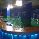 청춘바다낚시 이미지