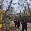 팜스프링 이미지