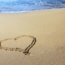 동호해비치 이미지