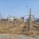 달천동 행정복지센터 이미지