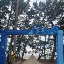 GR(해남군)-[땅끝해안로]-하-3 | 땅끝송호해수욕장:) 캠핑장 가기 전 잠깐 들려 발 적신 송호해수욕장