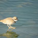 소라보체육공원 이미지