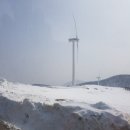 청해자원 네이버블로그