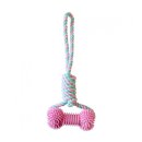 덴탈투유 이미지