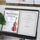 바이올린 1:1 레슨 이미지