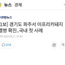 경기도 파주서 아프리카돼지열병 확진...국내 첫 사례(속보라 기사 없긔) 이미지