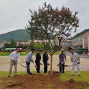 반포초등학교 이미지