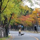 국립김해박물관 화장실 네이버블로그