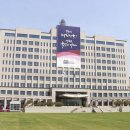 정지안 카카오 검색결과