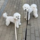 양평너른마당 뜨란채 이미지