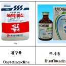 정제약국 이미지