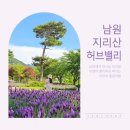 산책길에 만나는 인문학 기행(11월) | 허브향 가득 남원 지리산 허브밸리 전북 아이와 가볼만한곳 주차장
