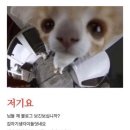 전자담배 버블몬 그래피티2 버블팟 내돈내산 구매후기 익산 어스언더파크 주토피아2