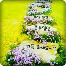 나모공인중개사사무소 이미지