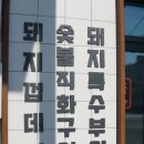 팔팔껍데기속초점 이미지