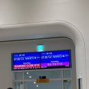 비카페/주식회사벨벳텍스쳐 | 완벽하지 않아도 행복했던 혜롱자매 도쿄여행 기록