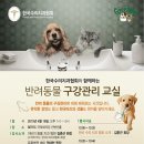 이비치 동물치과병원 이미지