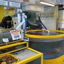별주부횟집 - 여수시 오동도로 61-18 | 강릉 중앙시장 회포장 맛집ㅣ별주부횟집 가성비 미쳤어요 (내돈내산 후기)