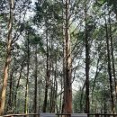 범섬노래연습장 | 제주도 첫 한달살기 후기 및 비용
