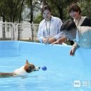 멍집사 웹이코노미