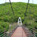 연하엽구름다리 이미지