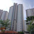 왕버들로 이미지