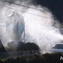 진서농장 이미지