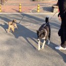 포커존 홀덤펍 이미지