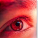 하나로콘택트 이미지