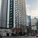 올로초코 | 고급 프랑스 디저트 맛집 경성대 카페 올로초코 홀케이크 주문후기