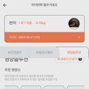 아이언펫