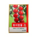 씨앗 이미지