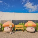 한강노을빛체험마을 | 경기도 아이와 가볼만한곳 김포 한강노을빛체험마을