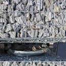 송정동-11 이미지