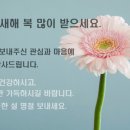 카매니아 이미지