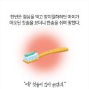 경호체육관 이미지