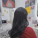7099 | 대전붙임머리 잘하는 곳! 💕 포시즌 붙임머리 강추💕