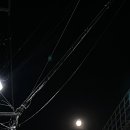 오니기리와이규동성모 이미지