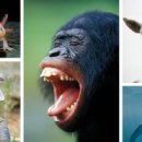 CW-1475-01 이미지