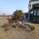 제이와이팜 이미지