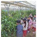 성만농장 이미지