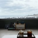 제주13月 | 제주살이 13,14일차 | 카페다각, 파도식당, 슬로보트