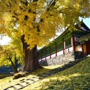 능주 향교 이미지